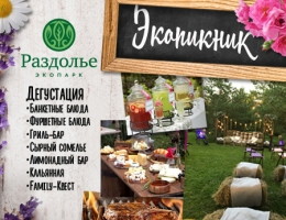 Экопикник 2017